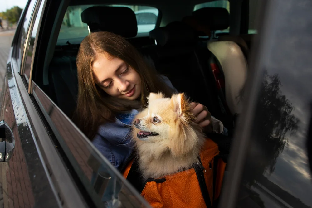 Pet Img
